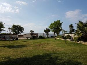 AOBR 2016 07 24 LA CIOTAT-JOURNEE CABASSETTE (7)